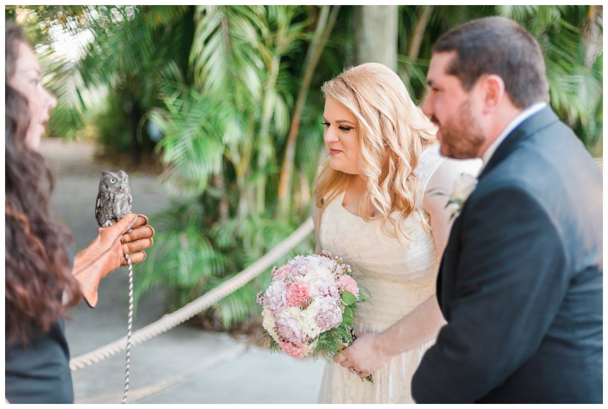 bride and groom animal encounter at palm beach zoo wedding