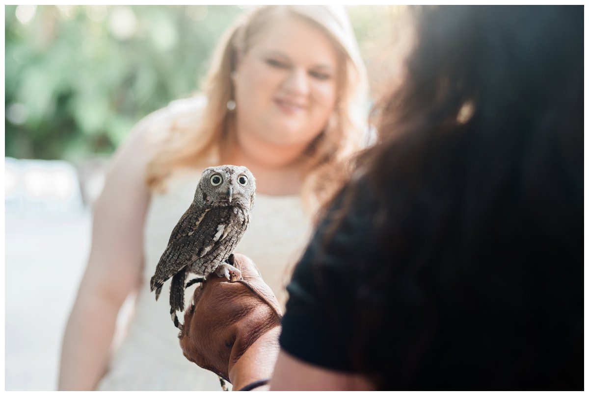 bride and groom animal encounter at palm beach zoo wedding