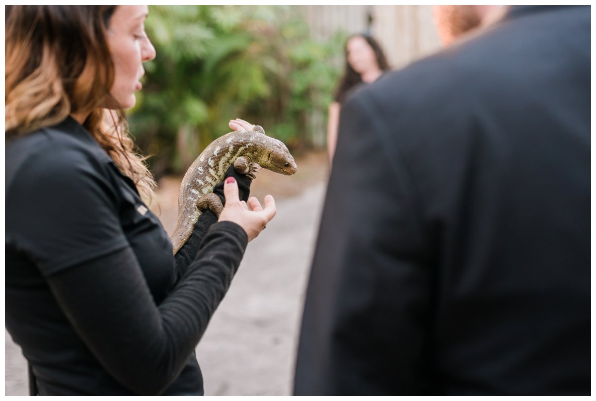 animal encounter with iguana at palm beach zoo wedding