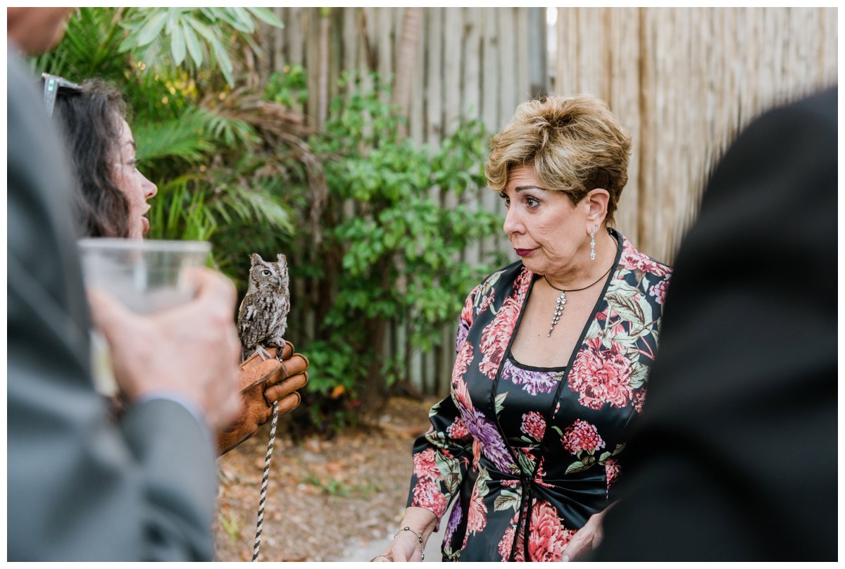 cocktail hour animal encounter with owl at palm beach zoo wedding