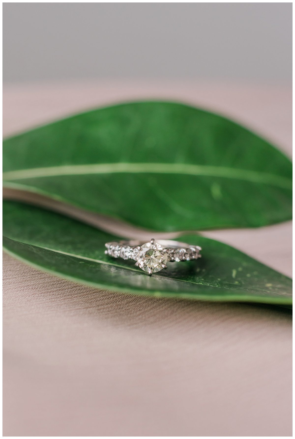 wedding ring on a leaf in islamorada florida keys