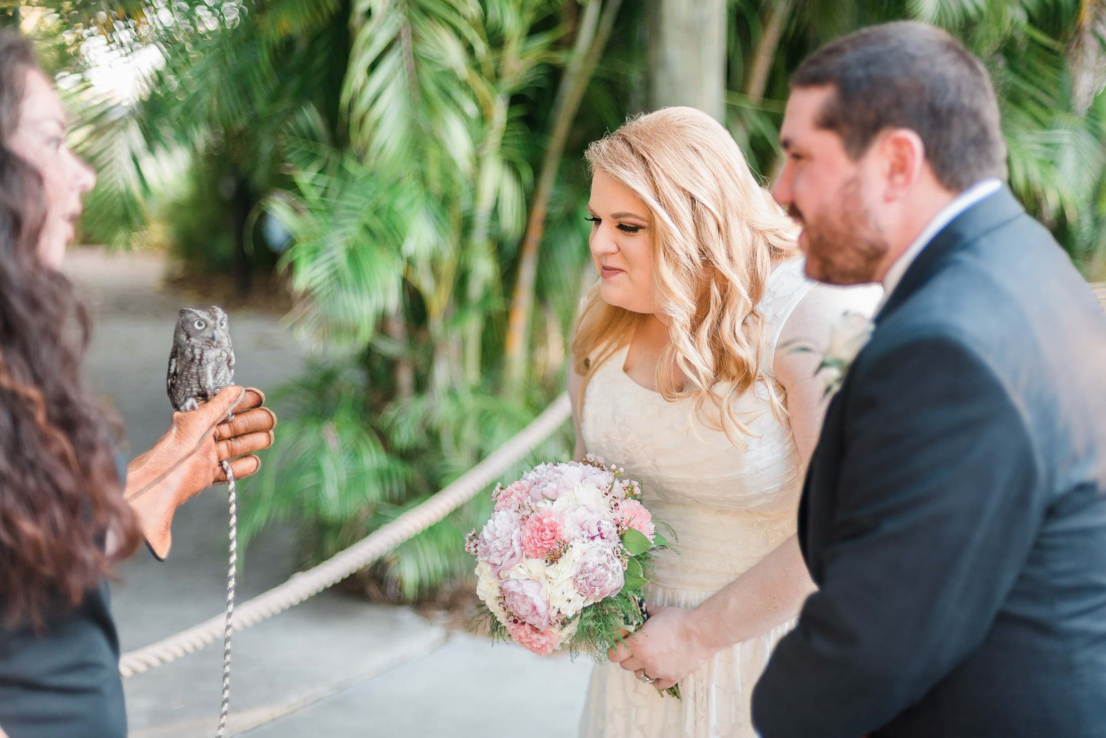 A bride and groom have an animal encounter with an owl at their Palm Beach zoo wedding