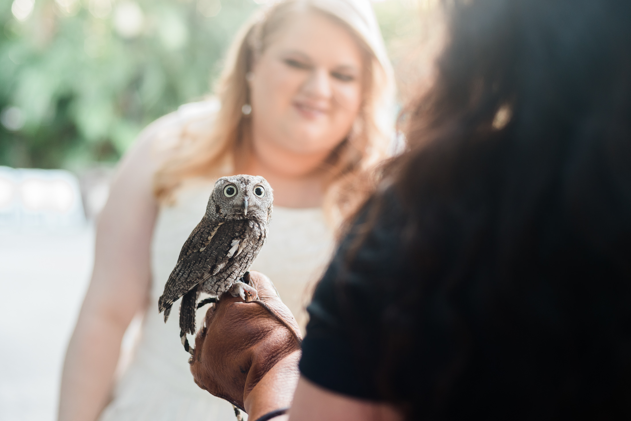 The bride meeting an owl at her Palm Beach zoo wedding.